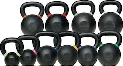Toorx Pro Cross Evo Toorx Pro Cross Evo