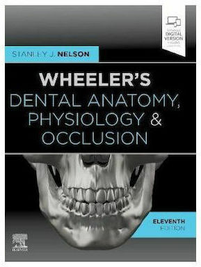 Wheeler's Dental Anatomy, Physiology and Occlusion