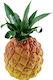 Meinl Fruit & Vegetable Shaker
