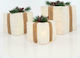 Eurolamp Illuminated Christmas Fabric Figure Box White 3pcs