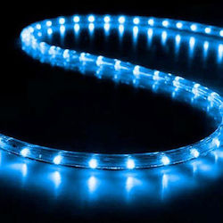 Christmas Light Tube Blue 220V 1500 Light Bulbs...