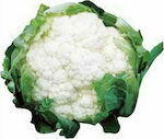 Cauliflower Amerigo compact envelope 2500 seeds