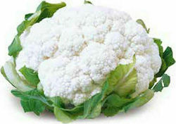 Cauliflower Charif super late envelope 2500 seeds