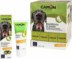 Camon Zahnpasta für Stein & Platte 70ml