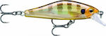 Rapala Shadow Rap Solid Shad Trolling Fish No10 5cm 5.5gr 28.28.17.001