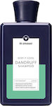 hh Simonsen Dandruff Shampoo 250ml