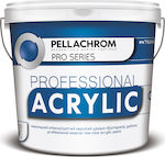 Pellachrom Professional Acrylic Plastic Vopsea pentru Utilizare Externă 9lt