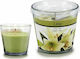BigBuy Aromatisches Kerze im Gefäß mit Lillium Parfüm 9x8cm