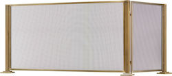 Zogometal Metallic Fireplace Screen with 2 Pane...