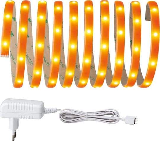 Paulmann Ταινία LED 12V Πορτοκαλί Φως 3m με Τροφοδοτικό