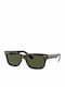 Ray Ban Sunglasses with Brown Tartaruga Plastic Frame and Green Lens RB2283 902/31