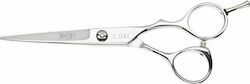 Aristocut DAI Hair Cutting Scissors 6.5 Inches