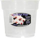 Growth Technology Orchid Flower Pot in Transparent Color