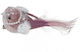 Hängendes Ornament Vogel Papier Rosa 15x6cm