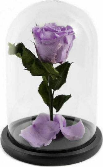 Παντοτινό Τριαντάφυλλο Baby Lili 22cm σε Γυάλα Aleiferopoulos Flowers