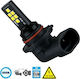 GloboStar Lampen Auto H10 Canbus LED 6000K Kaltes Weiß 12V 8W 1Stück
