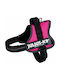 Trixie Hundegeschirr Weste Julius K9 Powerharness Baby 1 Mini Fuchsie Klein 28mm x 51-67cm