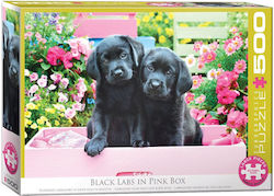 Γλυκά Μαύρα Κουταβάκια Puzzle 2D 500pcs Γλυκά Μαύρα Κουταβάκια Puzzle 2D 500pcs
