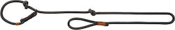 Trixie Dog Leash/Lead Strap Be Nordic Gray / Brown 13mm Brown 1.70m Trixie Dog Leash/Lead Strap Be Nordic Gray / Brown 13mm Brown 1.70m