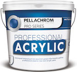 Pellachrom Professional Acrylic Plastik Farbe für Äußeres Verwendung Weiß 750ml