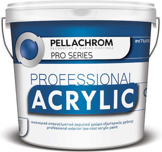 Pellachrom Professional Acrylic Plastic Acrilyc Paint for Exterior Use White 750ml