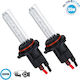 GloboStar Lamps Car & Motorcycle H10 Xenon 6000K Cold White 24V 35W 2pcs