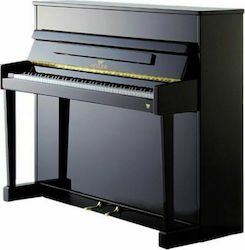 Seiler 116 Ritmo Acoustic