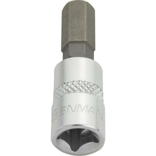 Benman Socket 1/4" Allen Walnut with Allen Head and Socket 1/4'' H8x37mm