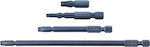 Benman Set 2 Screwdriver Bits Torx