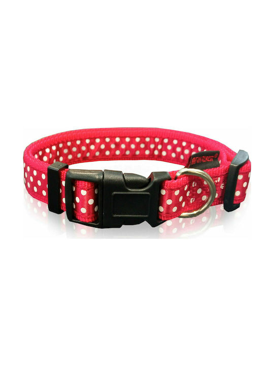 Pet Interest Dots Line Dog Collar In Red Colour Large 25mm x 47 - 70cm