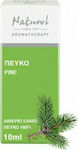 HealthTrade Essential Oil Pine 10ml