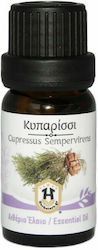 Herbstore Ulei Esențial Cupressus 10ml