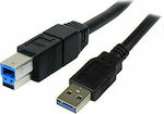 StarTech USB 3.0 Kabel USB-A-Stecker - USB-B-Stecker Schwarz 3m USB3SAB3MBK