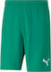 Puma Teamrise Men's Football Shorts