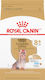 Royal Canin Yorkshire Terrier 8+ 3kg Ξηρά Τροφή για Ηλικιωμένους Σκύλους Μικρόσωμων Φυλών με Πουλερικά και Ρύζι