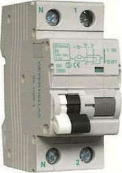 Geyer Phase 2-Pole Earth Leakage Relay 6A EF206DMC