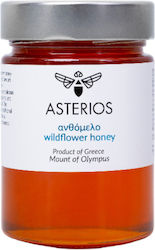 Asterios Μέλι Ανθέων 450gr