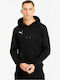 Puma Teamgoal 23 Herren Sweatshirt mit Kapuze und Taschen Schwarz