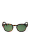 Izipizi C Sun Sunglasses with Tortoise Green Tartaruga Plastic Frame and Green Lens