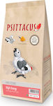 Psittacus Hand Feeding High Energy Futter für Wellensittiche 1kg 29005