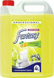 Endless Fantasy Professional Washing-Up Liquid with Fragrance Λεμόνι 1x4lt