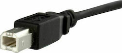 StarTech USBPNLBFBM1 USB 2.0 USB-B male σε USB-B female 0.3m StarTech USBPNLBFBM1 USB 2.0 USB-B male σε USB-B female 0.3m