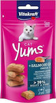 Vitakraft Cat Yums Salmon Snack-Leckereien mit Lachs für Erwachsene Katzen 40gr 035841