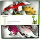 Dexam Metallic Animal-Shaped Cookie Cutter 5pcs