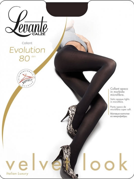 Levante Evolution