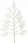 Lianos Christmas Decorative Κλαδί 220cm
