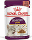 Royal Canin Sensory Taste Gravy/Salsa Hrana umeda pentru pisici adulte in Pungă 85gr 1buc 1194444