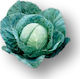 Syngenta Gregorian F1 Seeds Cabbage 2500pcs
