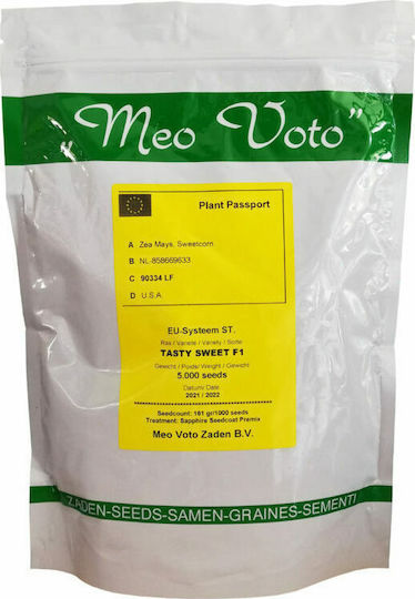 Meo Voto Samen Mais Biologischer Anbau Süß