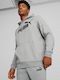 Essential Sweatshirt with Hood Gray
